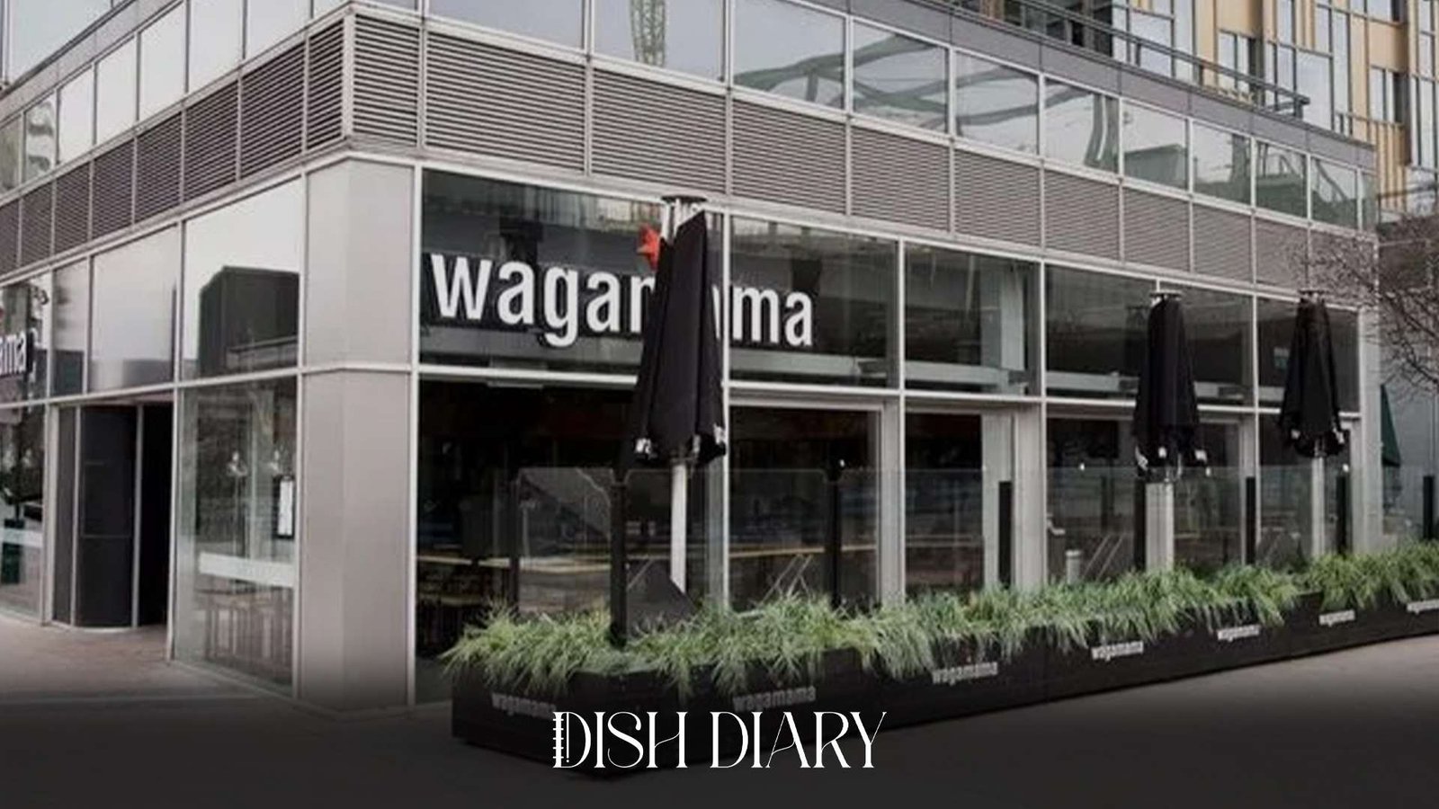 Wagamama New Menu UK Fresh Flavors and Exciting Dishes